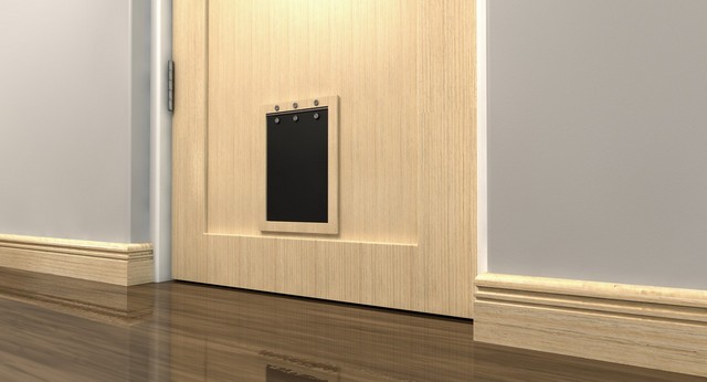 Cat Flap Installation Bayswater, W2