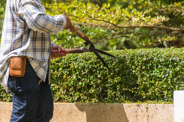 Garden Maintenance Bayswater, W2